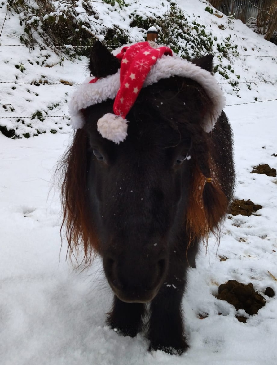 Aragon im Schnee