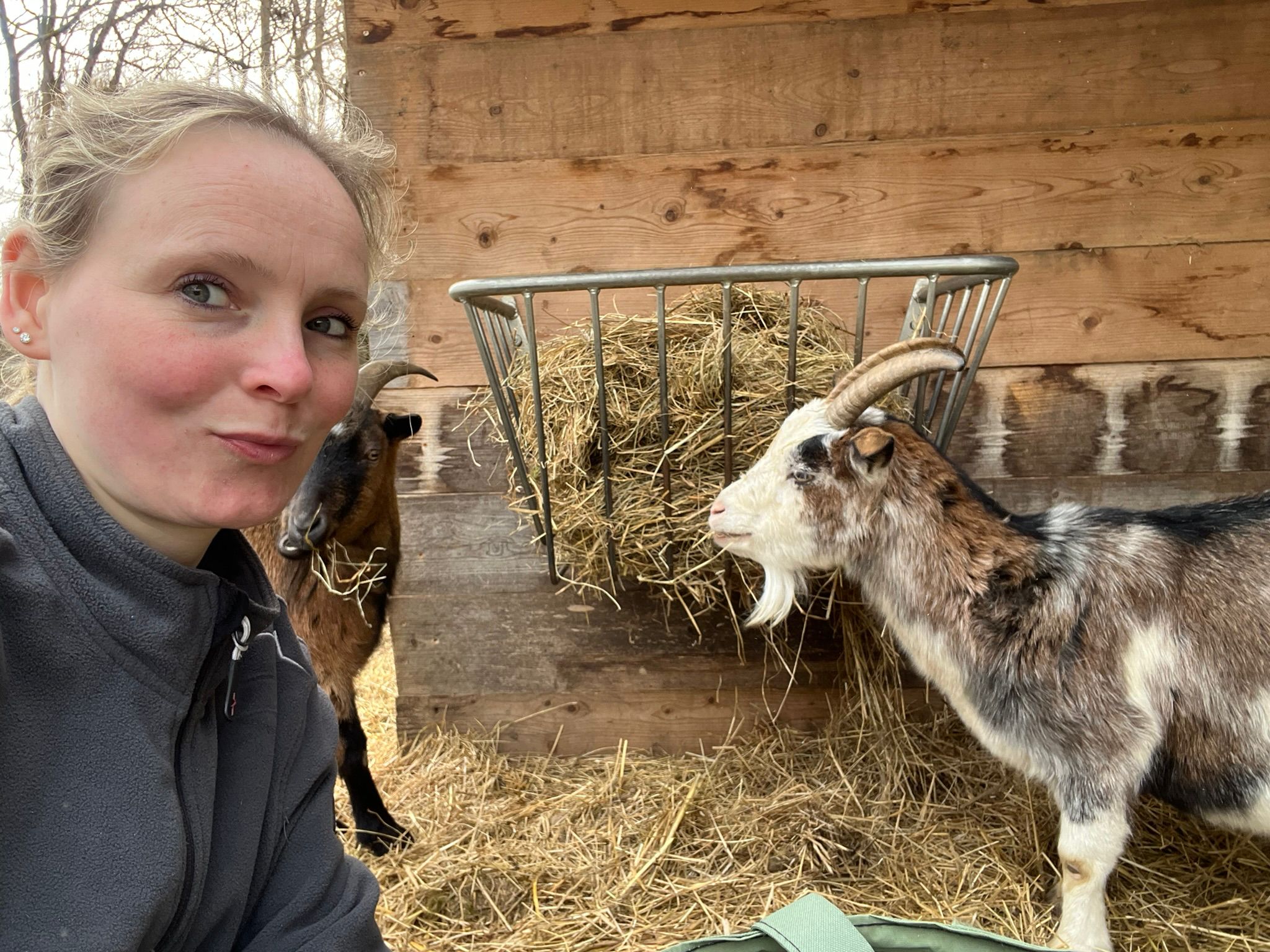 IMG-20250905-WA0003 (1)