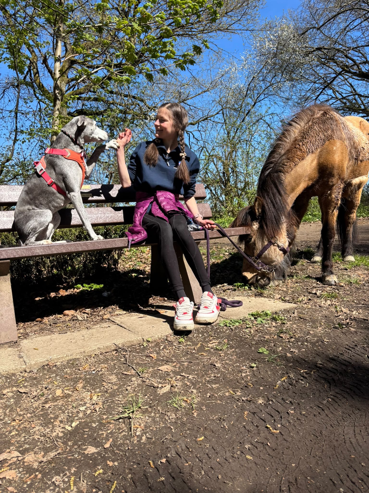 Mathilda auf Bank mit Hund